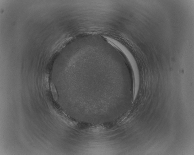 X0000074280696200609081827