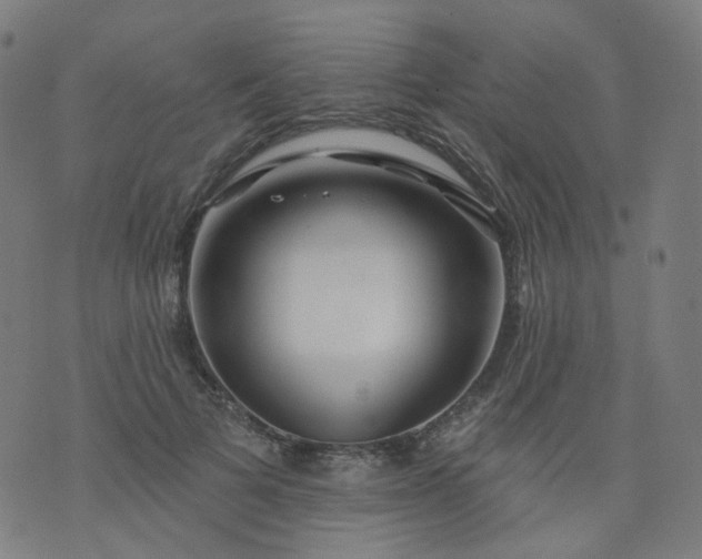 X0000074280697200609081827