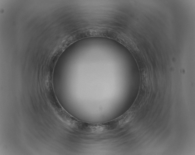 X0000074280698200609081827