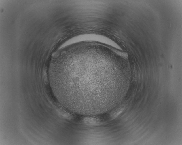 X0000074280699200609081827