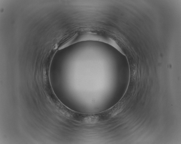 X0000074280700200609081827