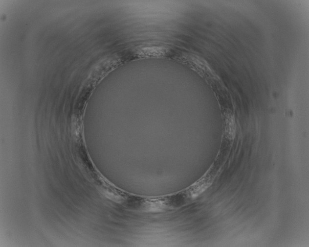 X0000074280701200609081827