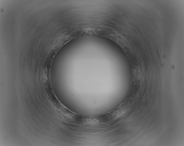 X0000074280702200609081827