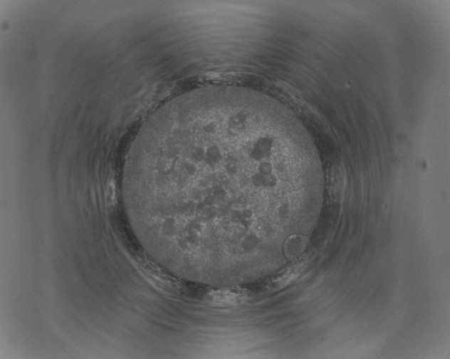 X0000074280703200609081827