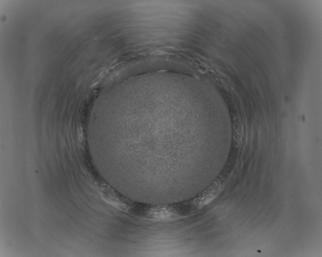 X0000074280704200609081827