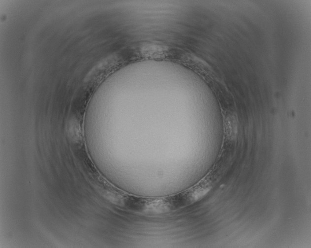 X0000074280705200609081827