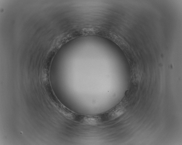 X0000074280706200609081827