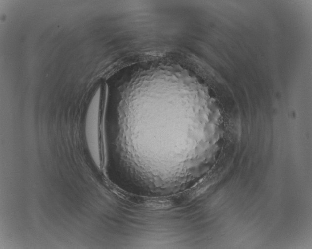 X0000074280707200609081827