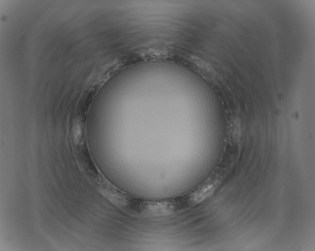 X0000074280709200609081827