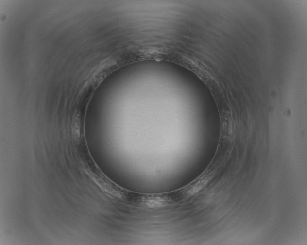 X0000074280710200609081827