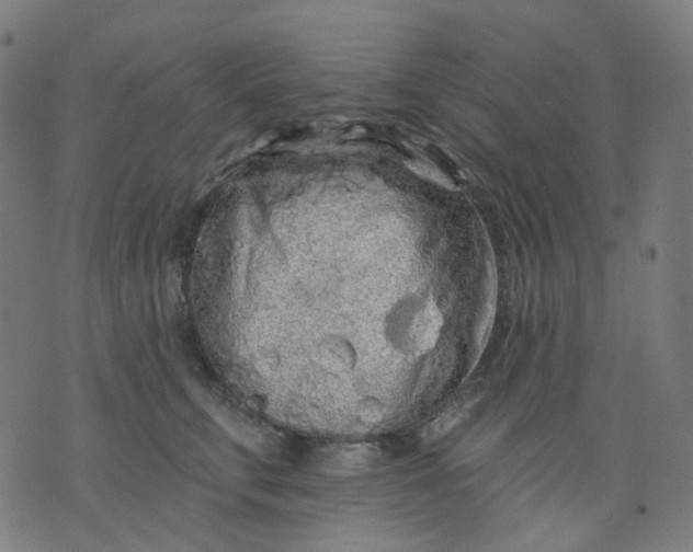 X0000074280711200609081827