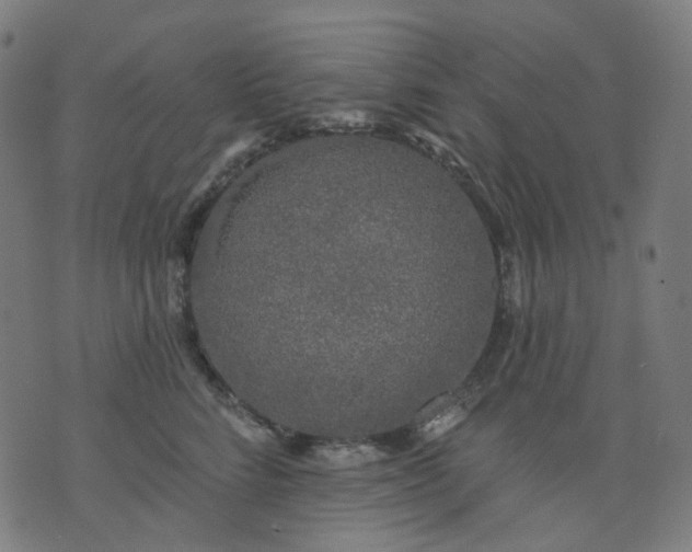 X0000074280712200609081827