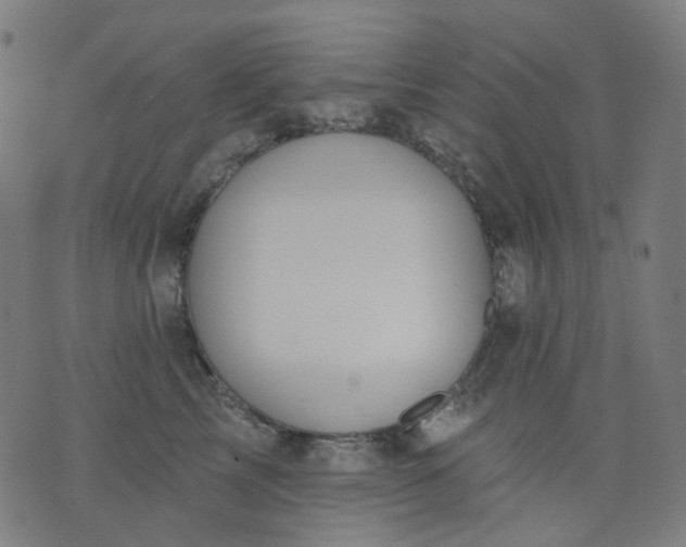 X0000074280713200609081827