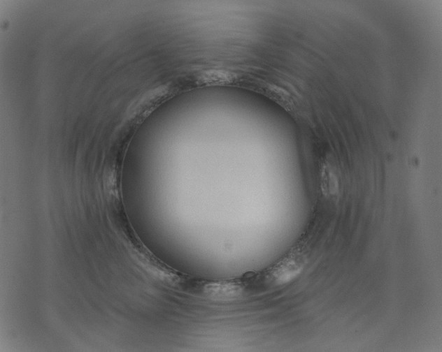 X0000074280714200609081827