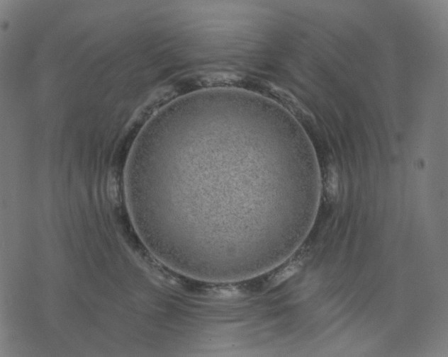 X0000074280715200609081827