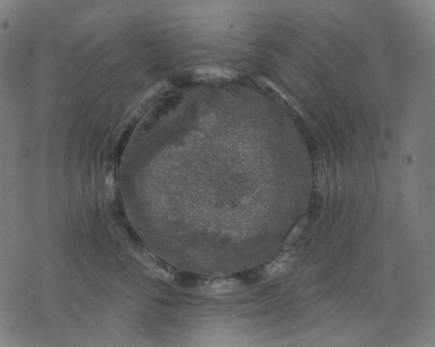 X0000074280716200609081827