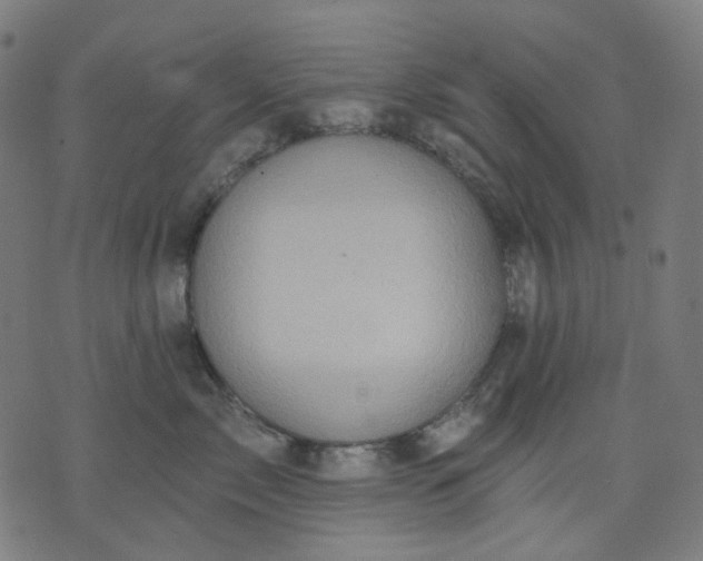 X0000074280717200609081827