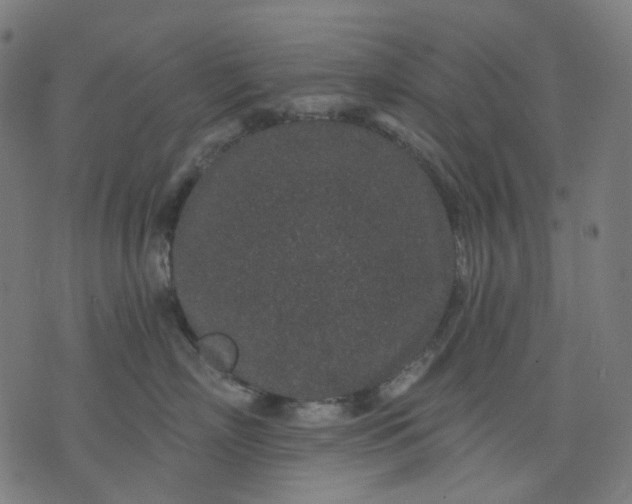 X0000074280718200609081827