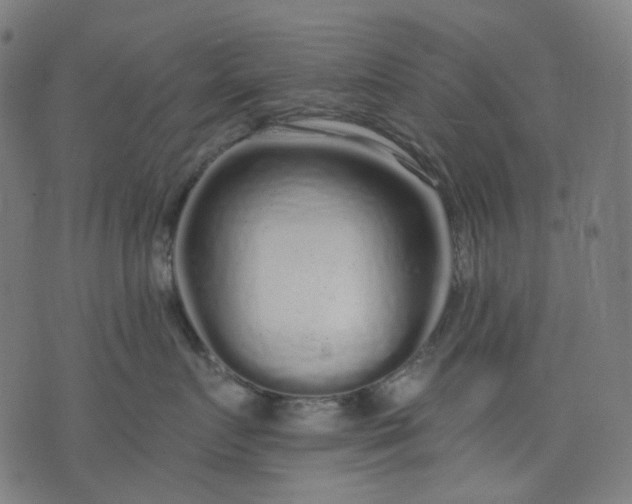 X0000074280719200609081827