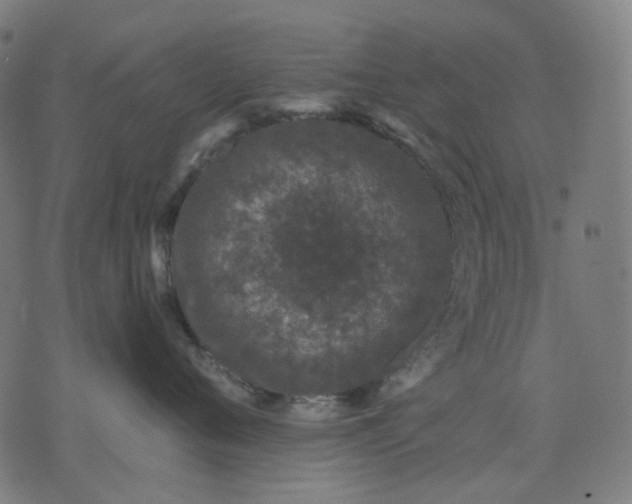 X0000074280720200609081827