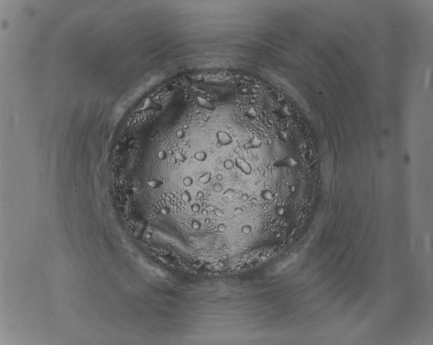 X0000074280721200609081826