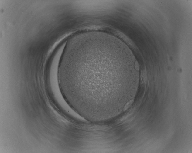 X0000074280722200609081826