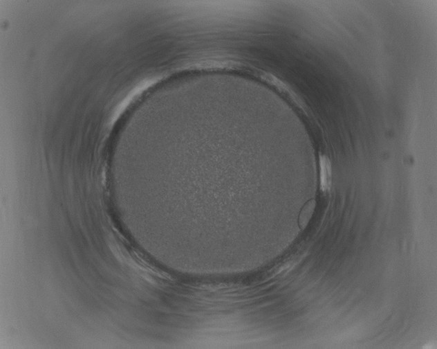 X0000074280723200609081826