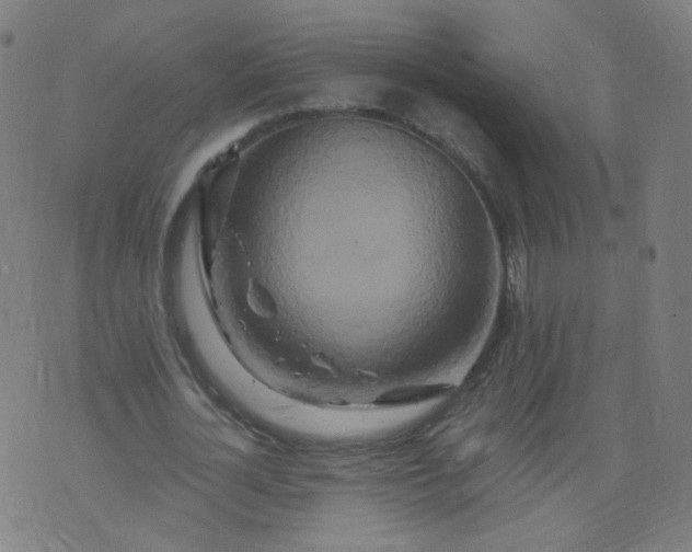 X0000074280724200609081826