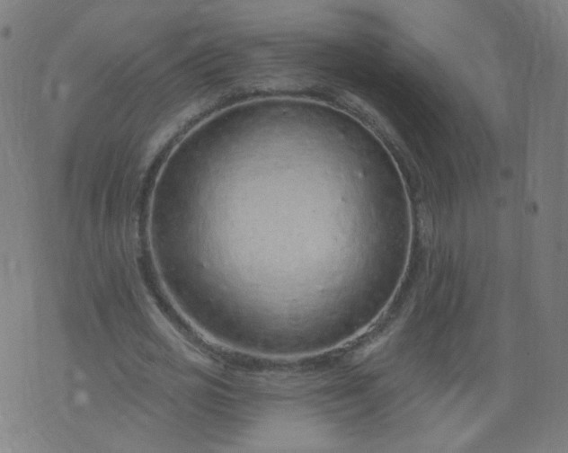 X0000074280725200609081826