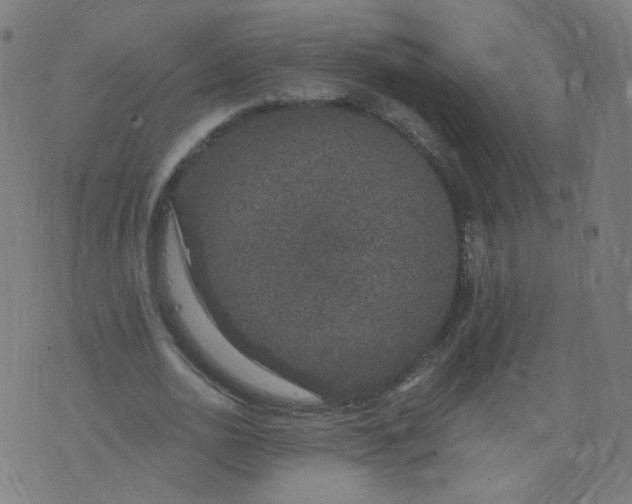 X0000074280726200609081826