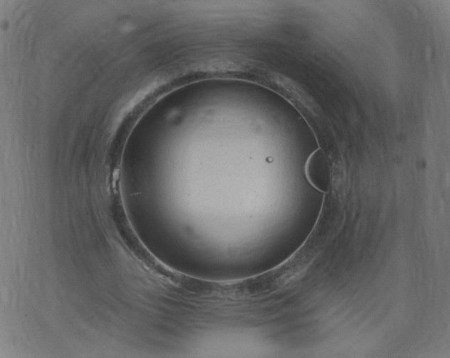 X0000074280727200609081826