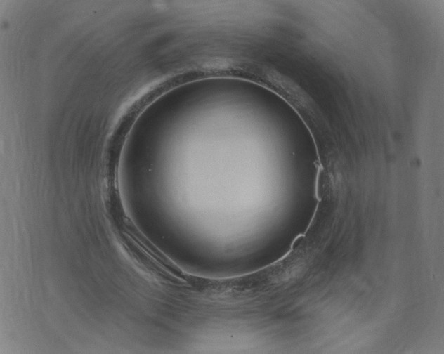 X0000074280728200609081826