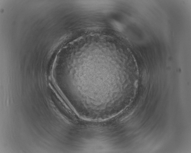 X0000074280729200609081826