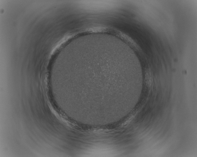 X0000074280730200609081826