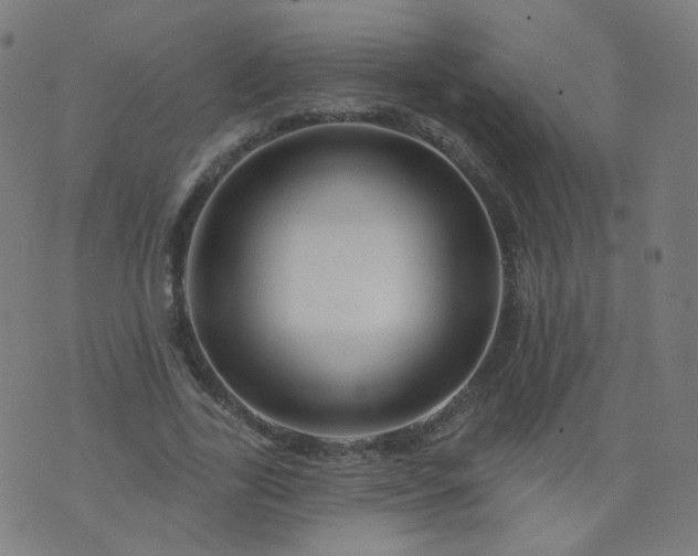 X0000074280731200609081826