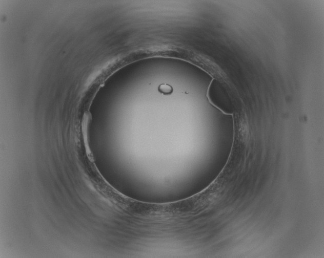 X0000074280732200609081826