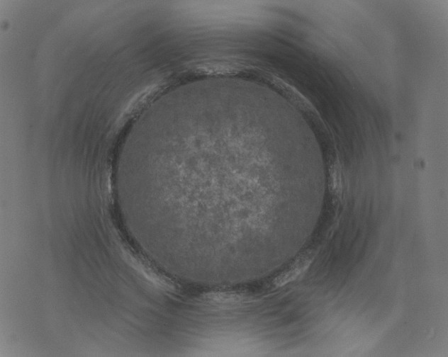 X0000074280733200609081826