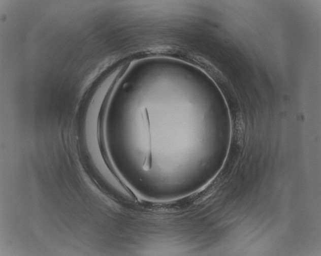 X0000074280734200609081826