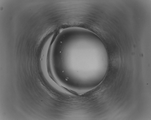 X0000074280735200609081826