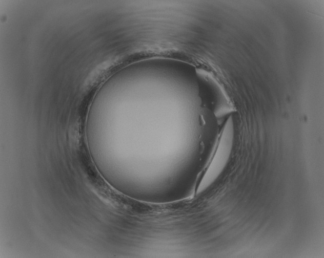 X0000074280736200609081826