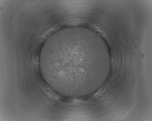 X0000074280737200609081826