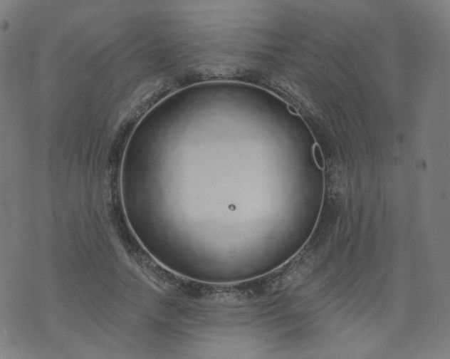 X0000074280738200609081826