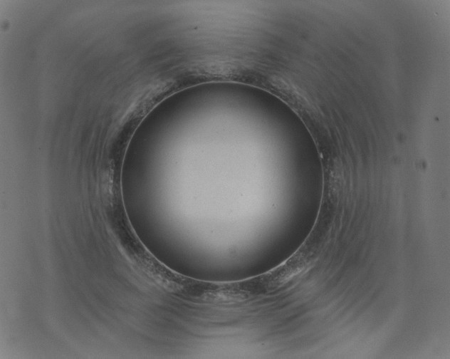 X0000074280739200609081826