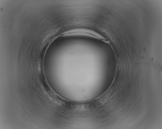 X0000074280740200609081826