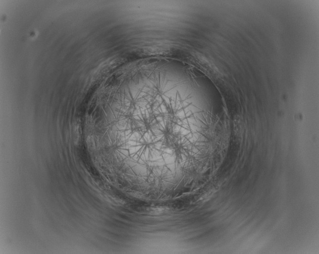 X0000074280741200609081826