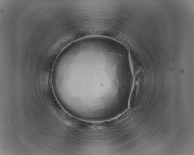 X0000074280742200609081826