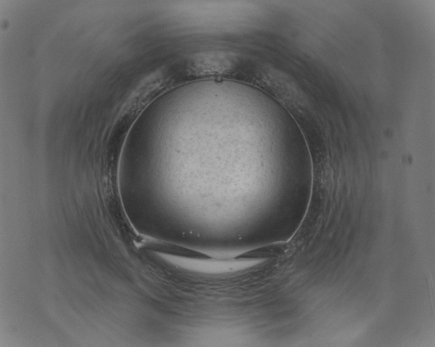 X0000074280743200609081826