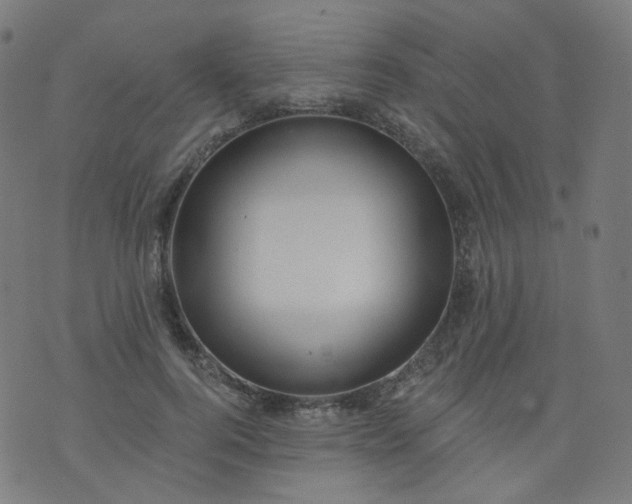 X0000074280744200609081826