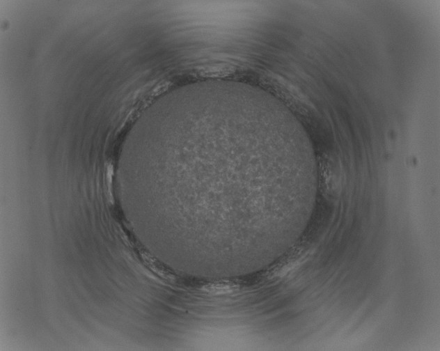 X0000074280745200609081826