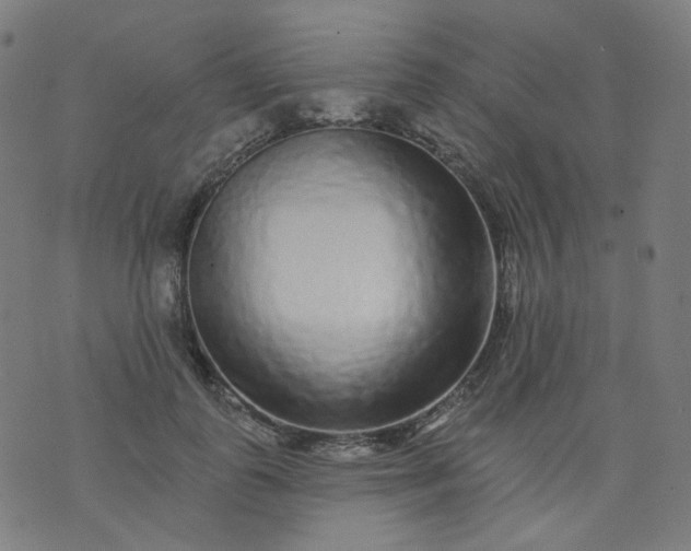 X0000074280747200609081826